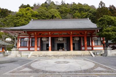 2024春 京都・滋賀 その5