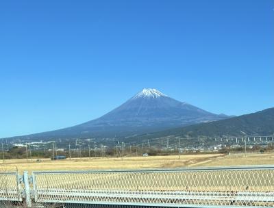 お正月。大磯プリンス、箱根、沼津で掘り出し物！
