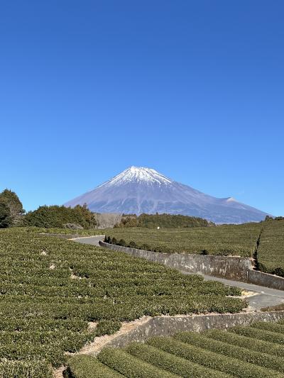 富士滞在　１２～１月