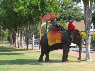 タイの魅力に惹かれて☆5日間③アユタヤ遺跡観光・バンヤンツリー ルーフトップバー