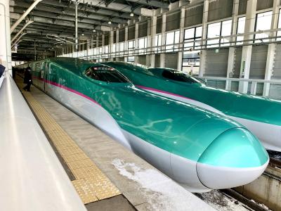 北海道・東北新幹線で行く冬の函館 【北海道の旅 冬の陣2024】①