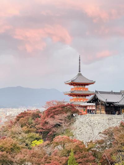 秋の京都1日目