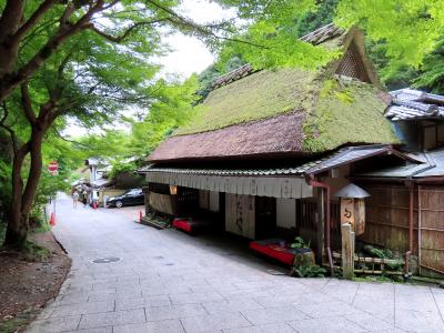 嵯峨鳥居本・松尾大社と水無瀬神宮を巡る