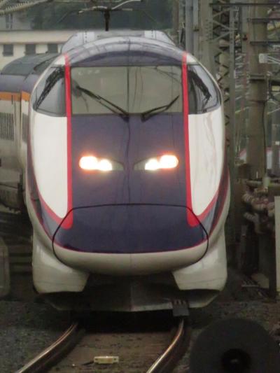 2024東日本気になる列車を見に行こう！vol.5（Ｅ３系つばさ編）