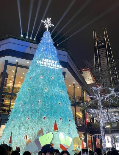 走って食べて買いまくり台湾2日目後編~巧之味手エ水餃、脆皮鮮奶甜甜圈、御品元冰火湯圓、クリスマスイルミネーション巡り