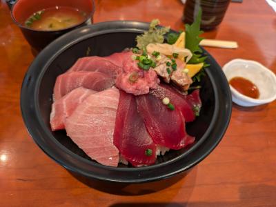 青春18きっぷで息子一家に会いに行くついでに 京都水族館♪の「食と移動」編