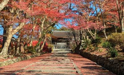 見所は“敷き紅葉”だけじゃなかった 【毘沙門堂門跡】～京都・山科～