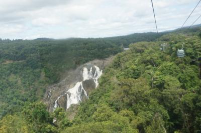2025.1 わくわくケアンズ5日間の旅～世界遺産・キュランダ（2）