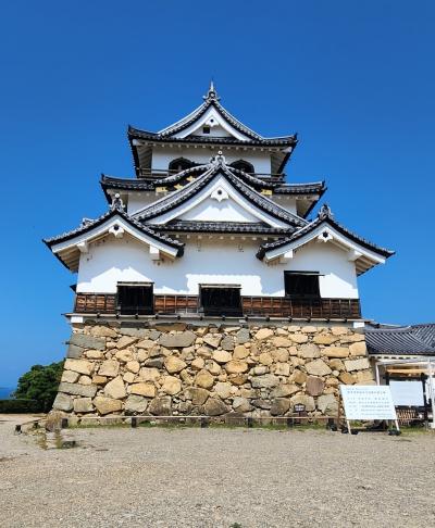 初めての彦根城