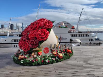兵庫～岡山への年末旅行&#10112;