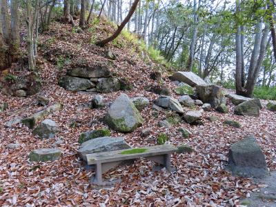 続日本100名城・新高山城攻略の旅