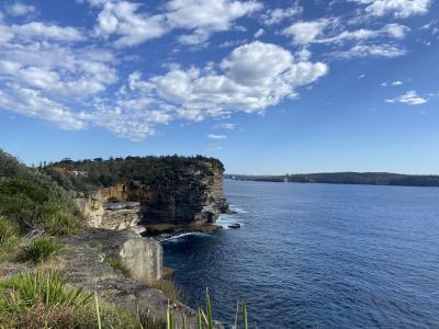 ジャカランダ咲き乱れる春のシドニー 2-① 2024/10/28