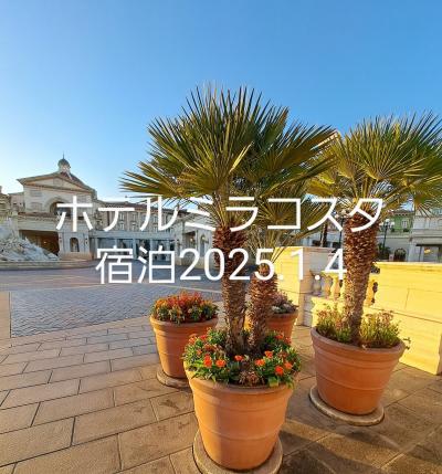 東京ディズニーシー・ホテルミラコスタ宿泊2025年1月4日