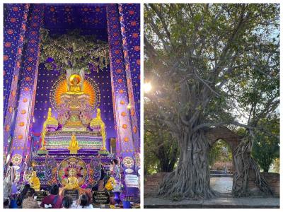 タイで過ごす年末年始・アユタヤ編～～♪♪（人気沸騰！紫の美しい寺院＆時の扉を抜ける寺院：01/02午後）