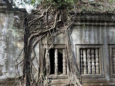 年末年始は海外で【カンボジア編】 ④「天空の城ラピュタ」を彷彿するベンメリア遺跡