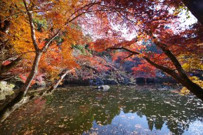 2024年12月の琵琶湖・比叡山旅
