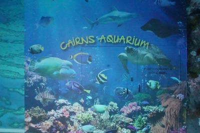 2025.1 わくわくケアンズ5日間の旅～ケアンズ水族館、帰国＋お土産（6）