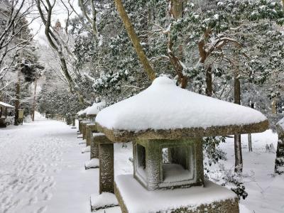 2025年京都で初詣