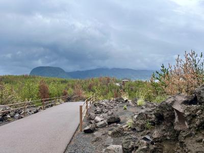 2024 日帰りで行く 羽田発-鹿児島 ~ 桜島を一周して帰ってきました!!
