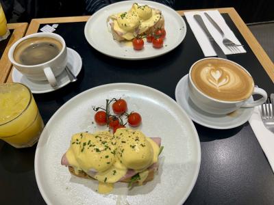 2024 オーストラリア&ニュージーランド-その5 ~ 王立植物園でお散歩してANA特典Cクラスで帰国