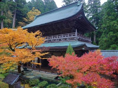 秋の福井と京都2泊3日(2日目)