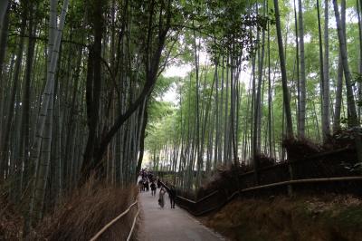 2025冬　京都嵐山観光（２）