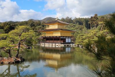 2025正月 京都市観光(2)