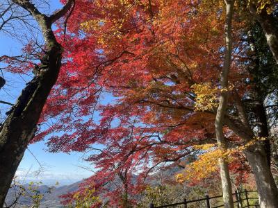 栃木市なのに県庁所在地じゃない。でも紅葉はとても綺麗だった。