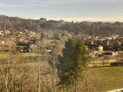 年末ポルトガル旅行【ポルト電車旅編】