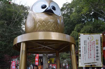 年末年始に那須温泉と初詣そして鬼怒川温泉へ
