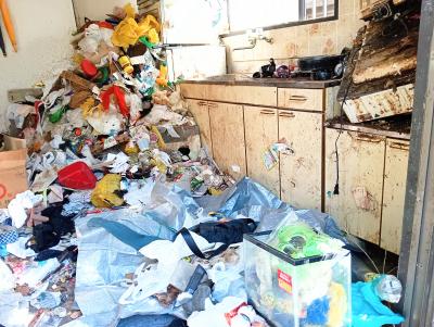 衝撃映像 想像を絶する