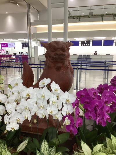 胃弱、足弱、体力無しの那覇ぼっち旅。