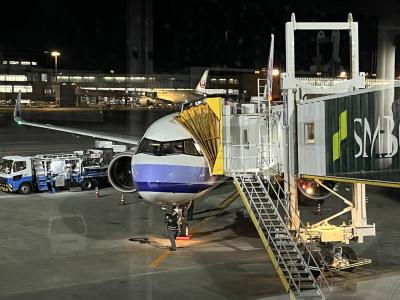 成田発夜便で台北へ、そして高雄で朝ごはん&台中で高級ひとり鍋を食う