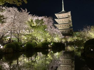 京都奈良桜旅行　2 仁和寺　妙心寺　嵐山　将軍塚青龍殿　東寺
