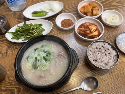 年末ポルトガル旅行【韓国滞在編】