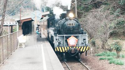 大井川鉄道かけはし号からSLまで、古フル列車まみれになる