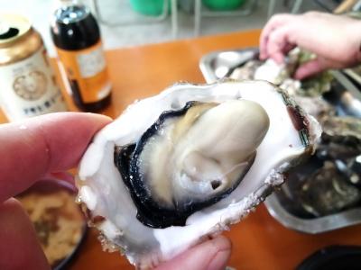 三重県鳥羽までドライブ…浦村牡蠣の食べ放題にチャレンジ！