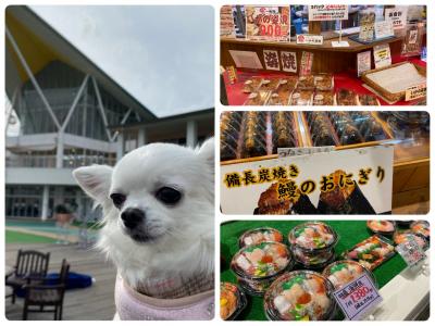 ペットと行く宿  三河西浦温泉 和のリゾート はづ ①ラグーナテンボスフェスティバルマーケットの巻