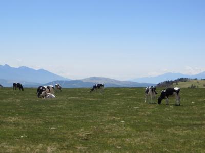 お天気がいいから長野に行こうか？