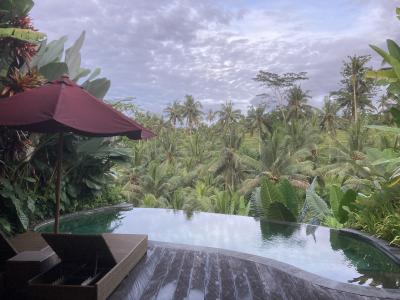 年末年始をバリで過ごす② ウブドのホテルと観光