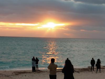 奄美群島年末年始旅行記(与論島3日目⇒奄美大島編)