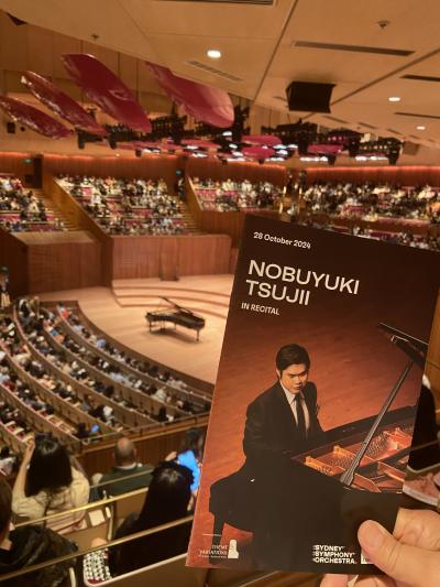 ジャカランダ咲き乱れる春のシドニー 2-② 2024/10/28