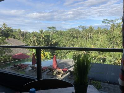 年末年始をバリで過ごす③ ウブド観光とホテルスティ