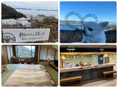 ペットと行く宿 三河西浦温泉 和のリゾート はづ ②昭和レトロなホテルステイ施設紹介