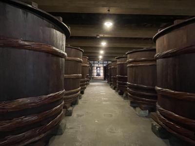 202501 どこかにビューーンで大雪の米沢へ