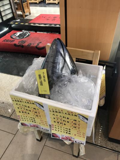 2025お正月・初競り本マグロ頂きました。お猿のリキちゃんの猿まわし