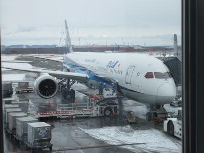 ANAで行く冬休み札幌の旅