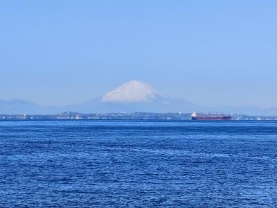 2025年初旅、千葉・紀伊乃国屋で地魚・温泉旅