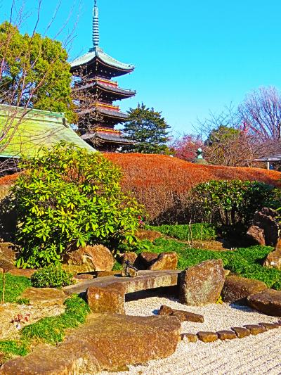 上野新春‐6　東照宮ぼたん苑f  第２庭園　☆春の七草/盆栽　寛永寺五重塔の前-和風の美空間
