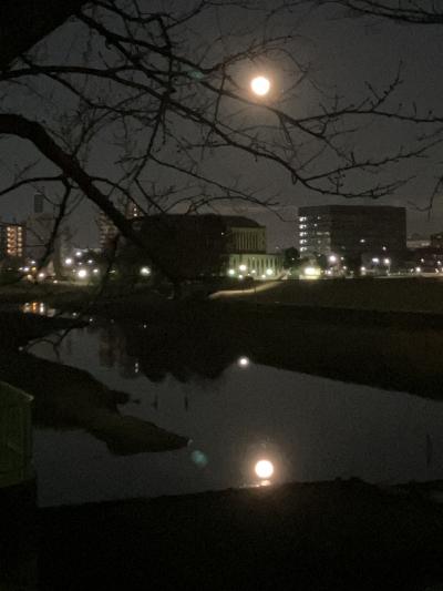 今年の恵方は庚です!